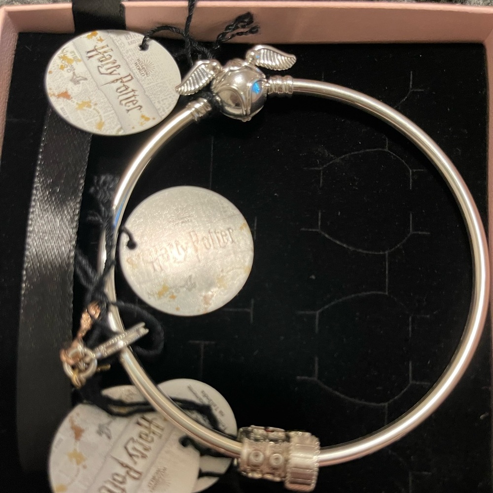 Pandora 8.3 bracelet with two charms
